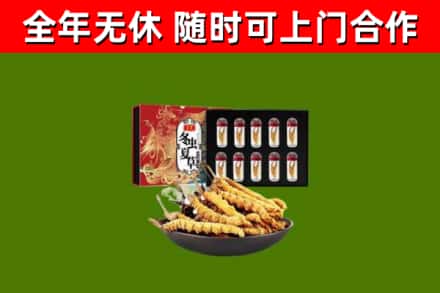 温州回收冬虫夏草价格